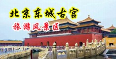 www.爽歪歪超碰中国北京-东城古宫旅游风景区